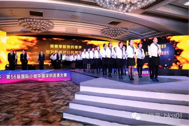 盛世集團精英團隊